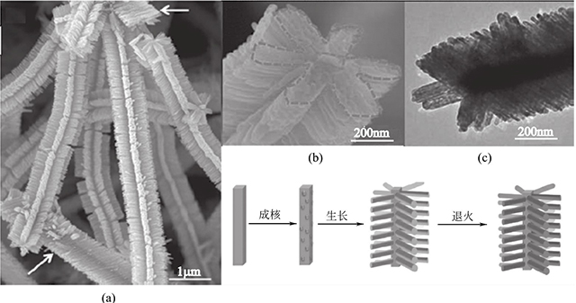 Fe2O3/SnO2異質(zhì)納米結構的形成機理和形貌